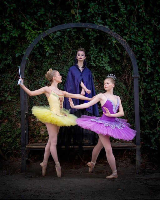 Sleeping Beauty presented by the South Carolina Dance Theatre